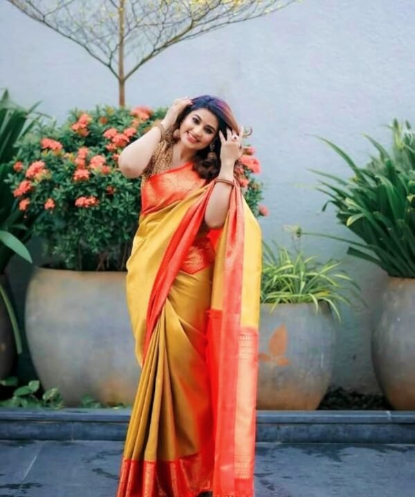 Banarasi Tissue Saree